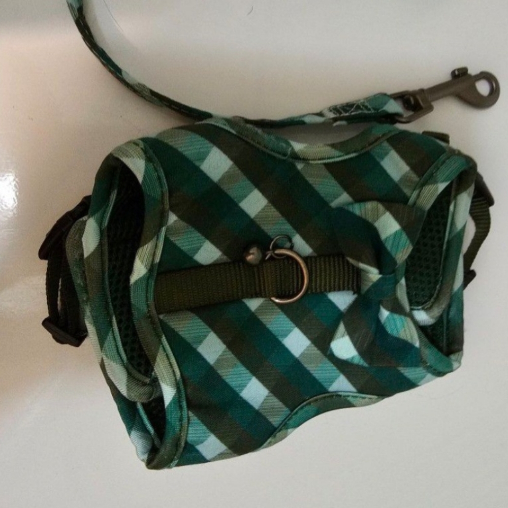 Kitten Harness w/ Leash